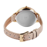 Raptor Veloria – Bild 3