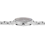 Raptor Star – Image 3