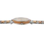 Raptor Beauty – Bild 2