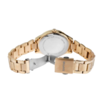 Raptor Pia – Image 3