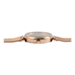 Raptor Tinna – Image 2