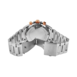 Raptor Theo – Bild 3