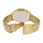 Raptor Magnus – Bild 2